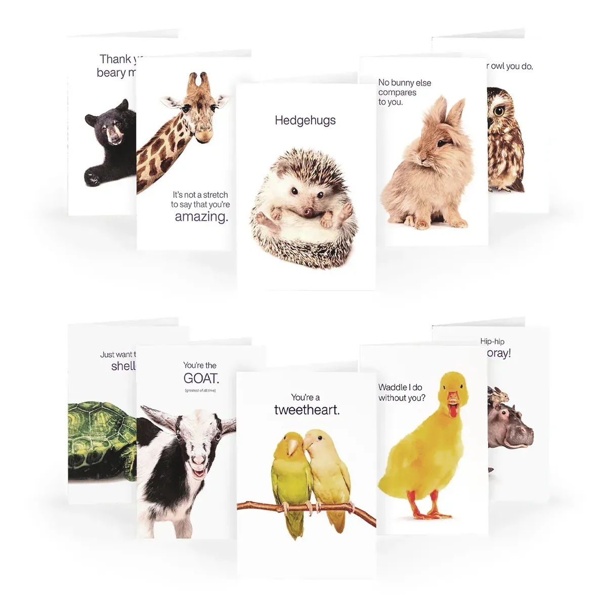 Greeting Cards: 10 Pack (English)